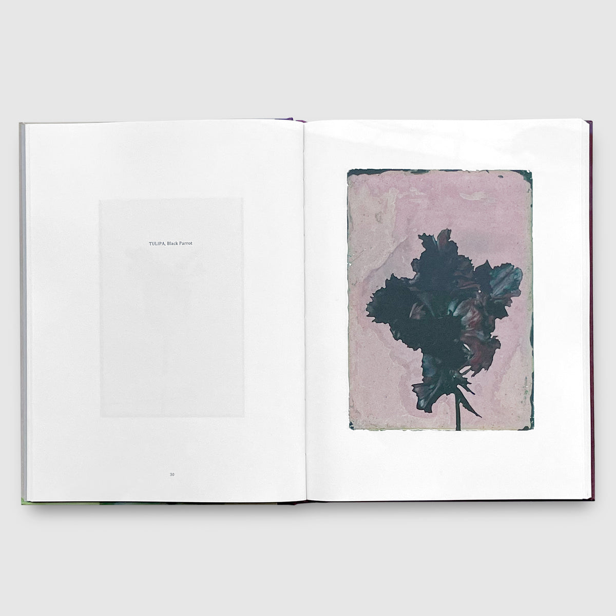 LEENDERT BLOK | LES EXTRAVAGANTES | Post Architecture Books