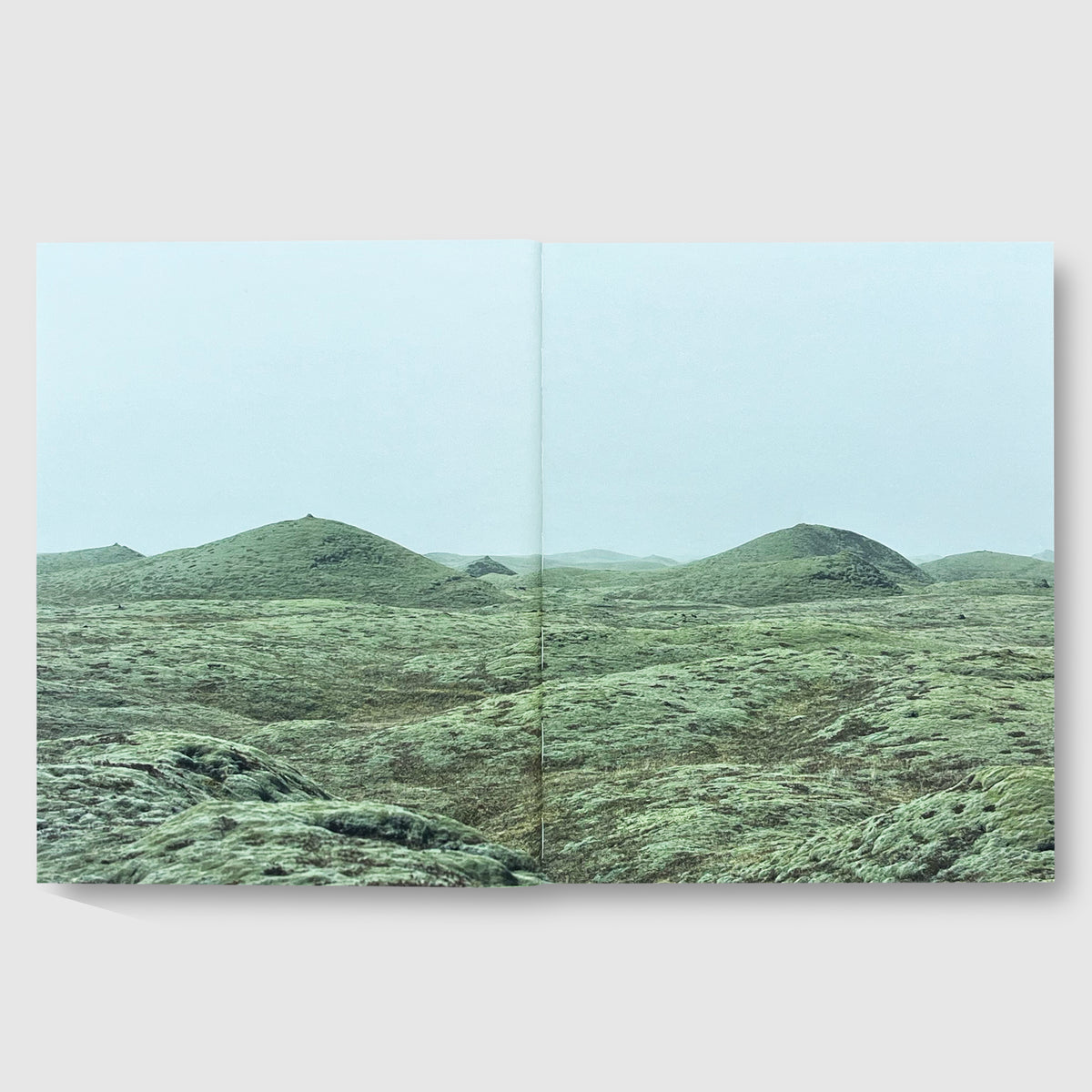 プロフお目通し Roni Horn Ísland MotherWonder Roni Horn – Mother, Wonder | special edition. Book + Print