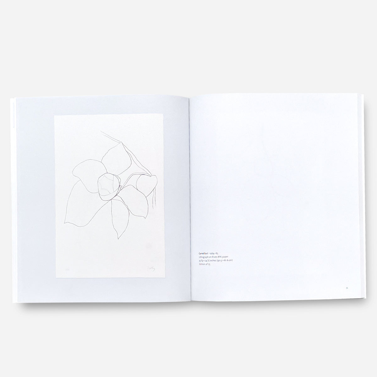 Ellsworth Kelly ｜ Plant Lithographs | Post Architecture Books