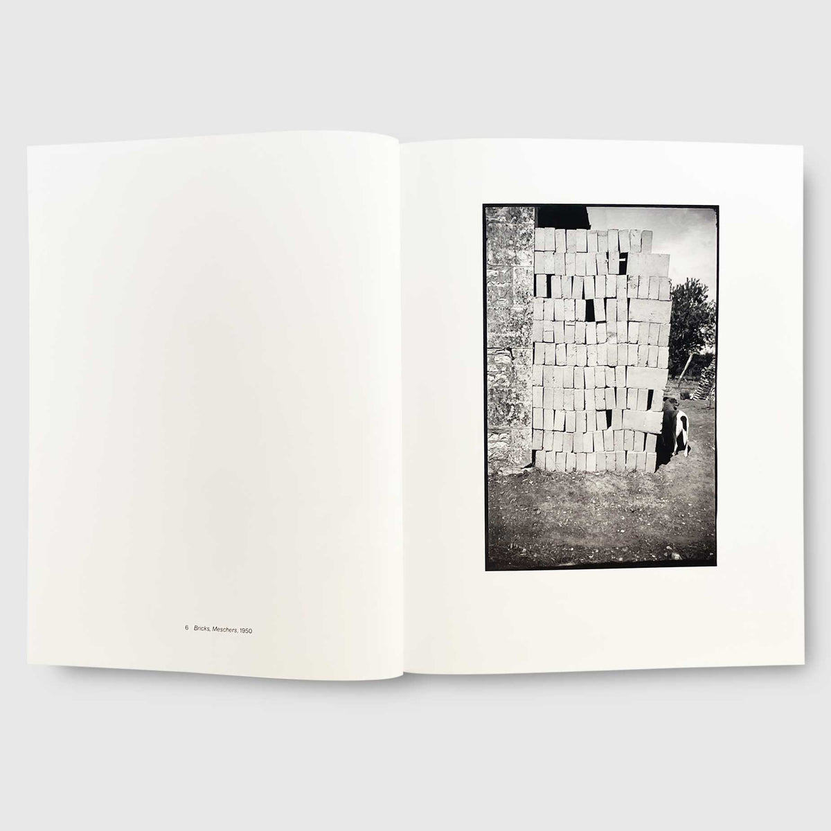 Ellsworth Kelly | SHAPE, GROUND, SHADOW: THE PHOTOGRAPHS OF