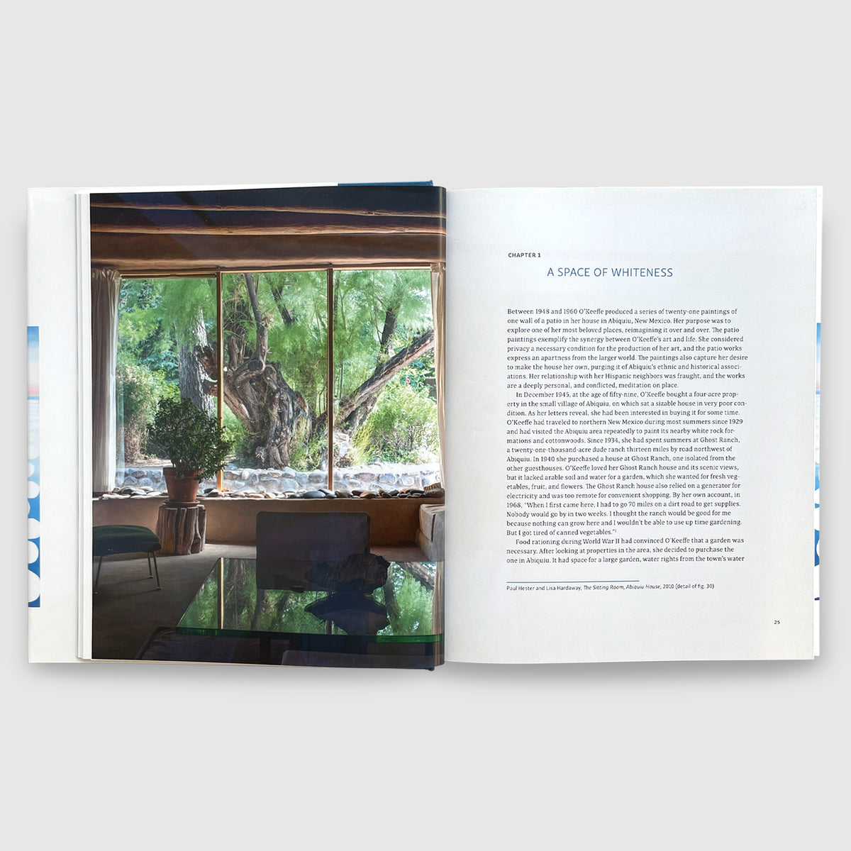 Georgia O'Keeffe ｜ The Late Work | Post Architecture Books