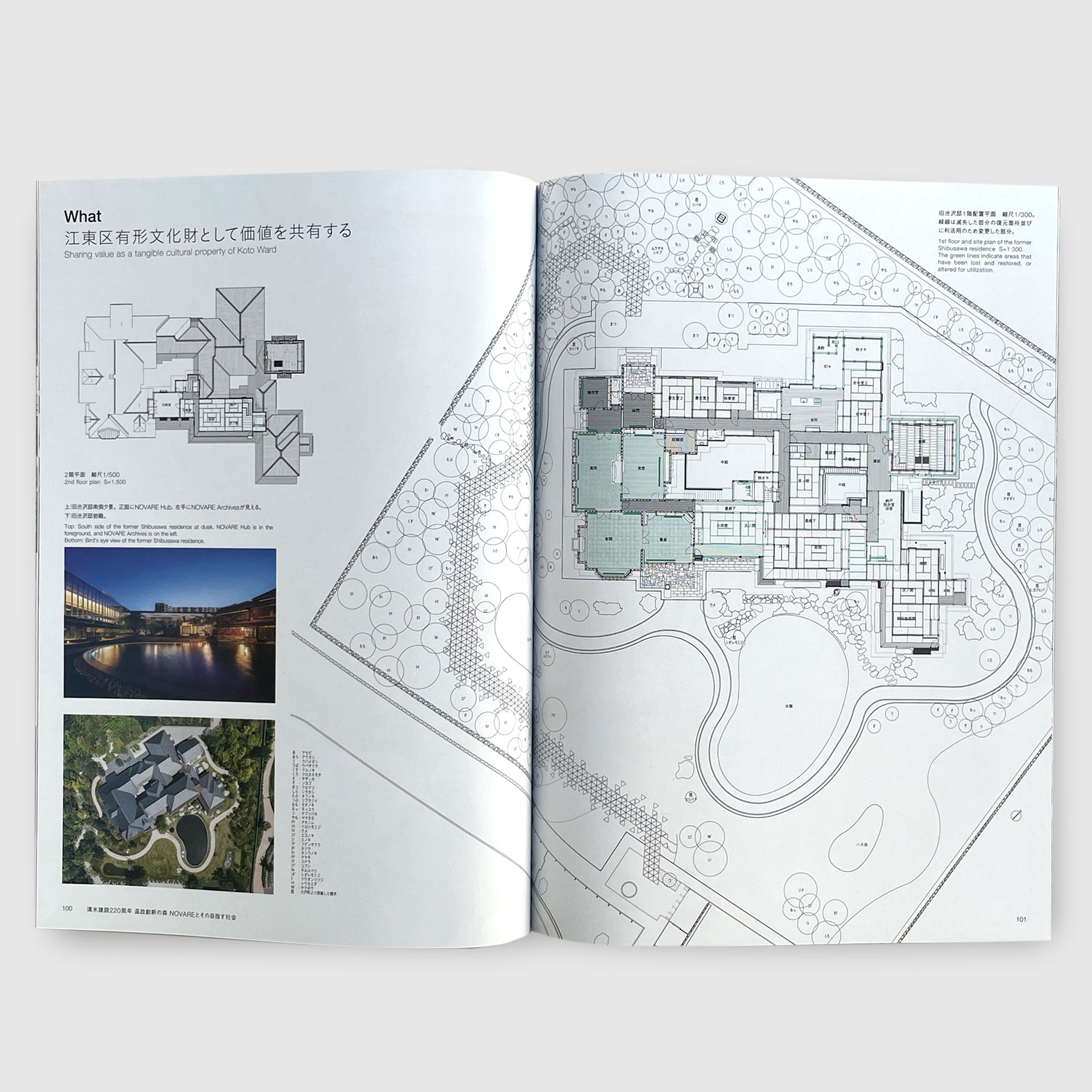 2024_11__06_1850x.jpg?v=1731833811