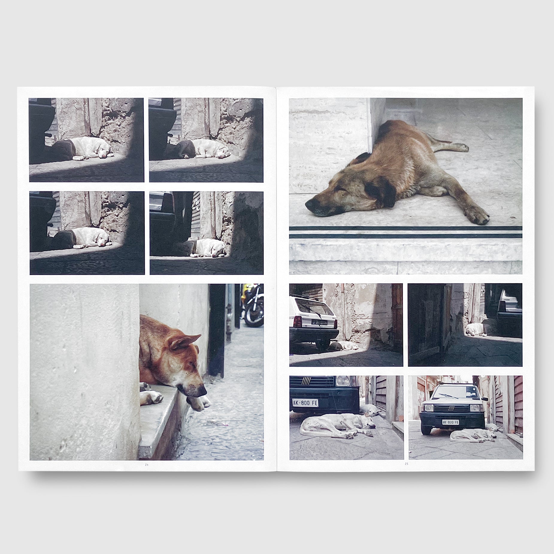 Charlotte Dumas | A TERRA | Post Architecture Books
