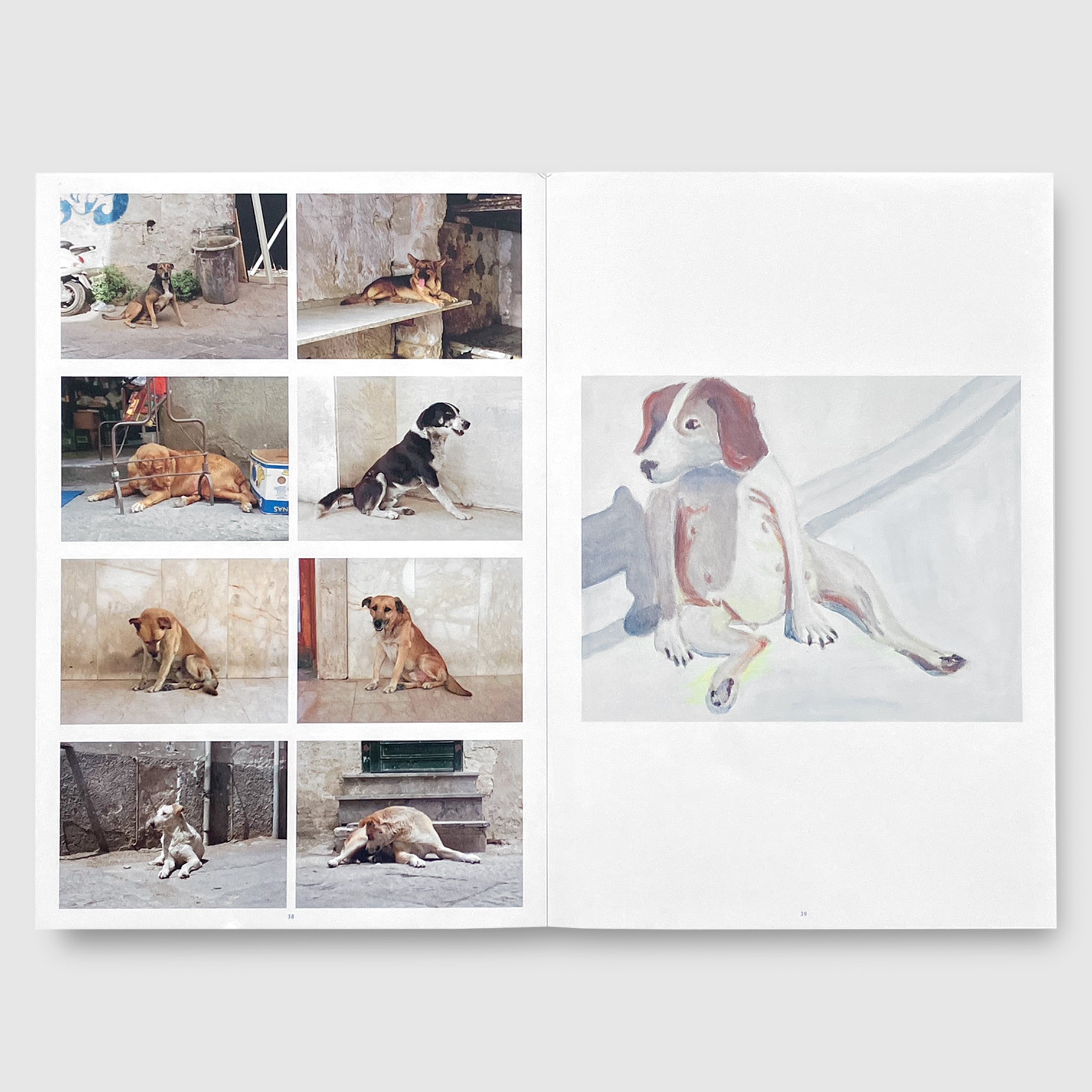 Charlotte Dumas | A TERRA | Post Architecture Books
