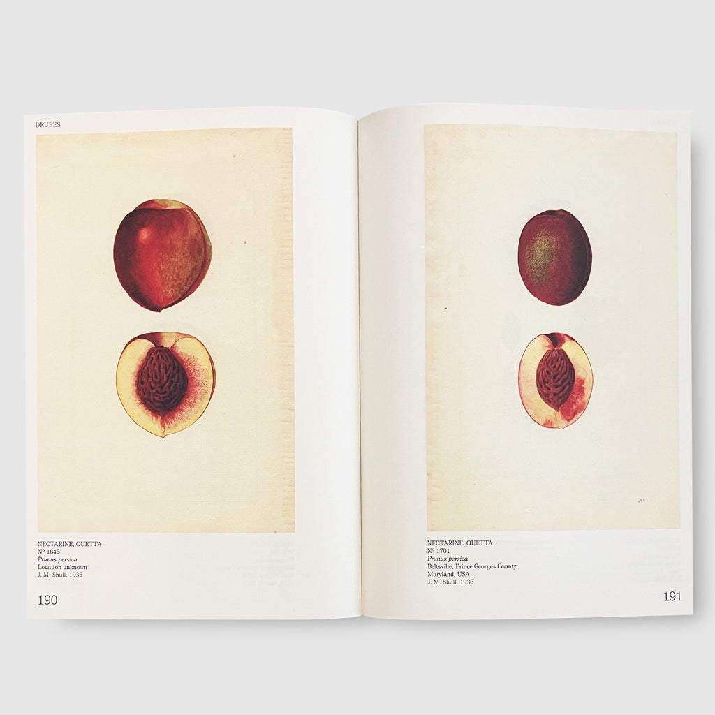 An Illustrated Catalog of American Fruits & Nuts Post Architecture Books