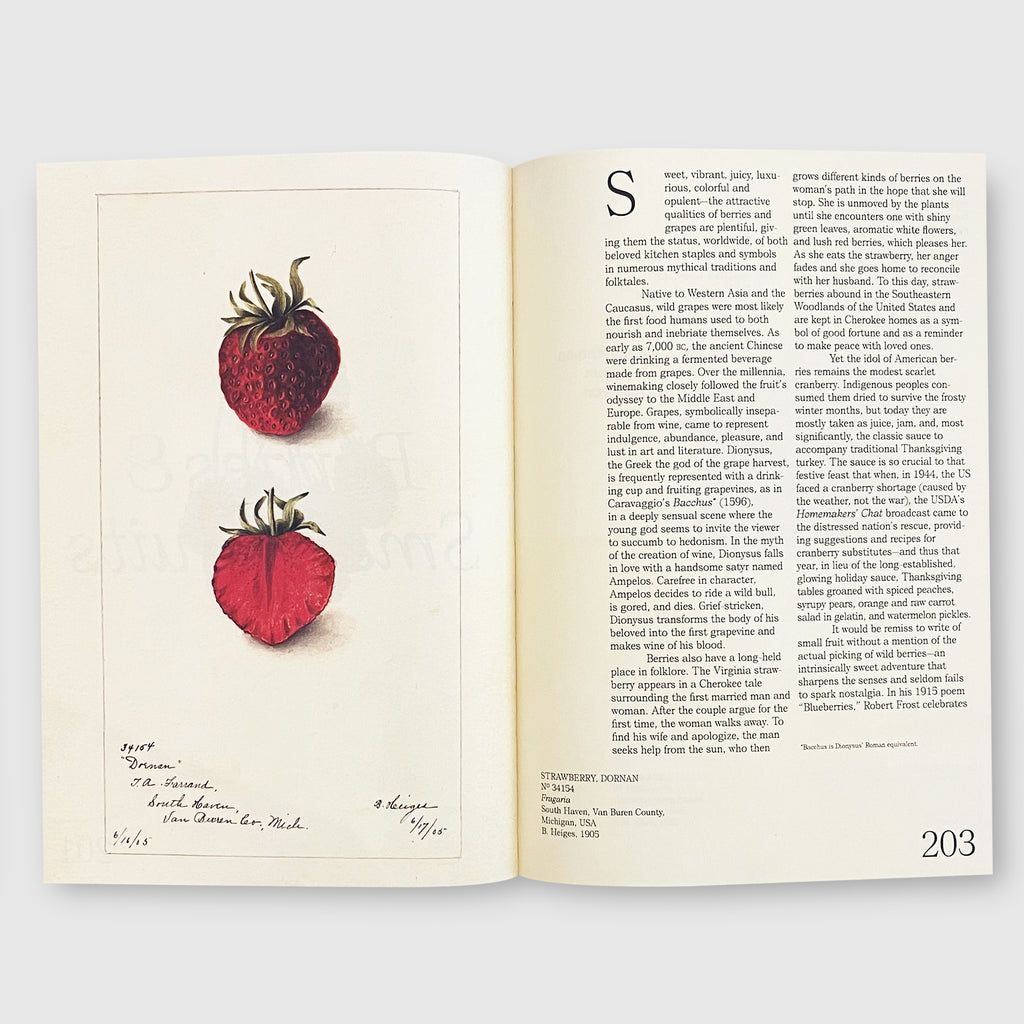 An Illustrated Catalog of American Fruits & Nuts Post Architecture Books