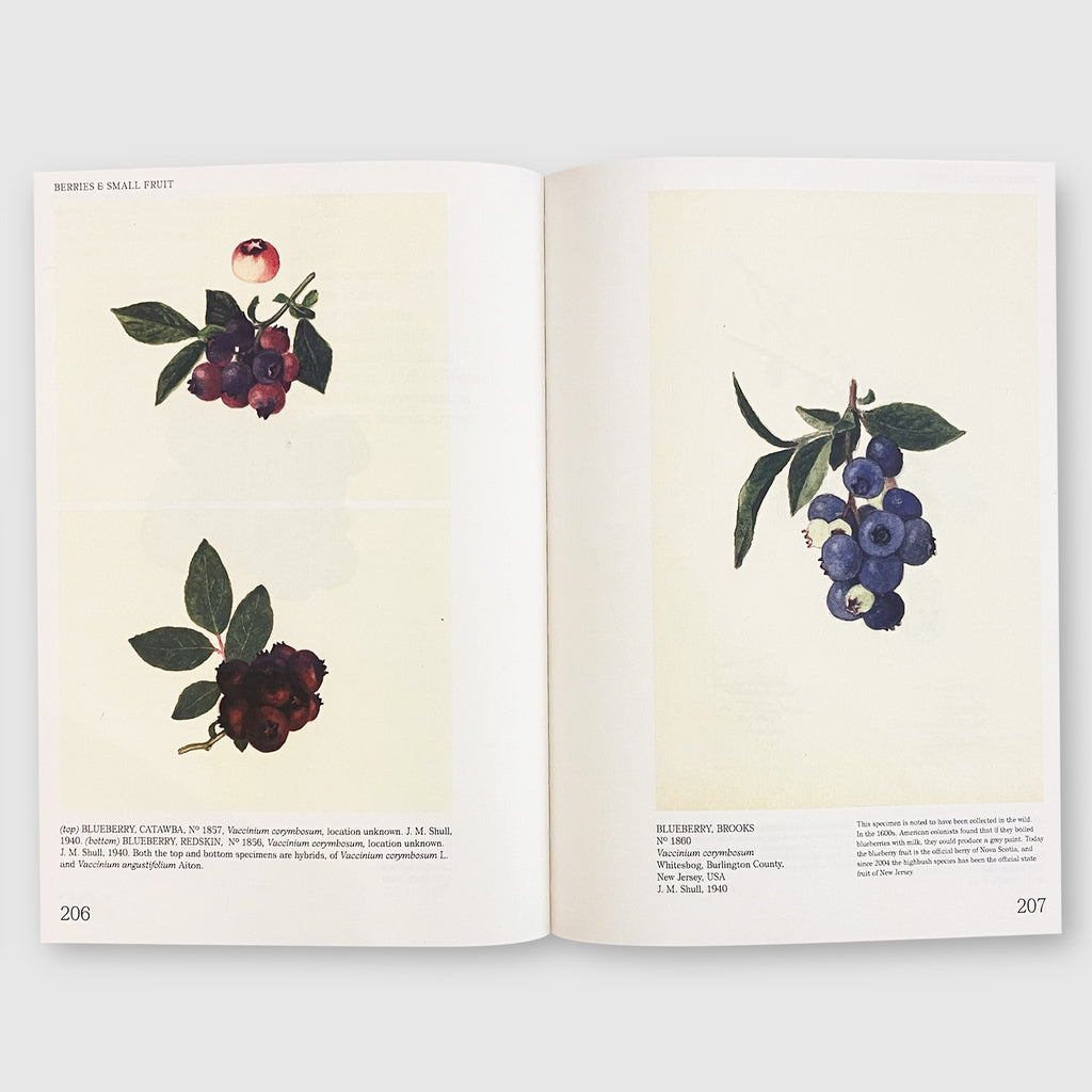 An Illustrated Catalog of American Fruits & Nuts Post Architecture Books