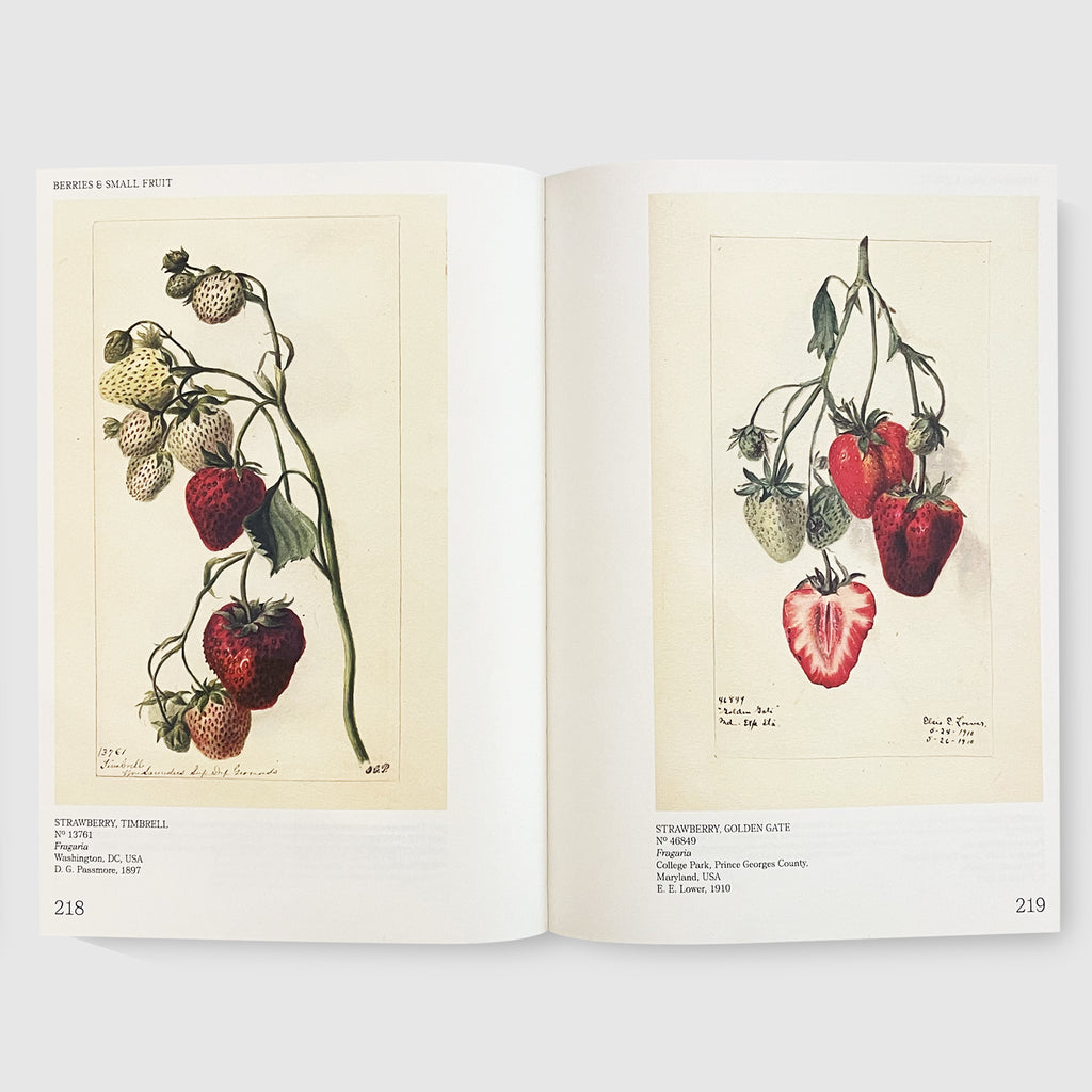 An Illustrated Catalog of American Fruits & Nuts Post Architecture Books