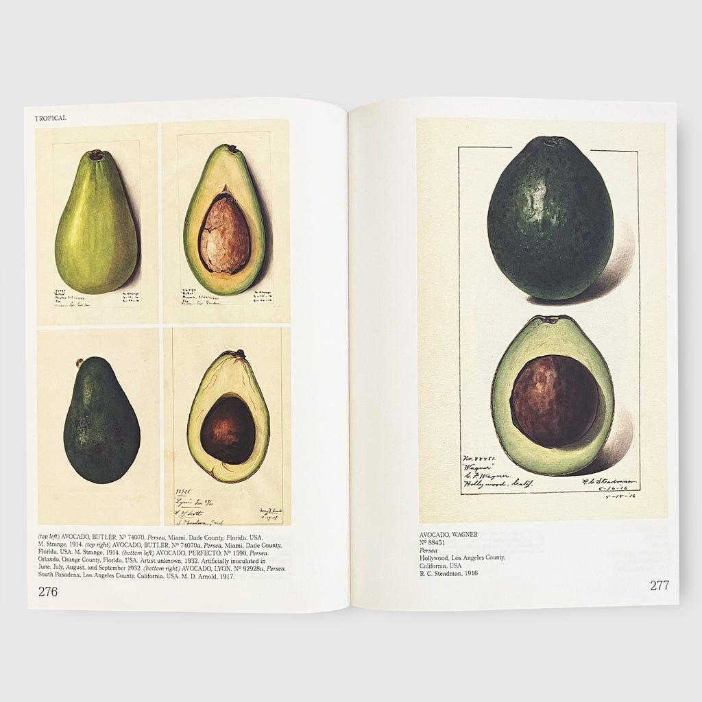 An Illustrated Catalog of American Fruits & Nuts Post Architecture Books