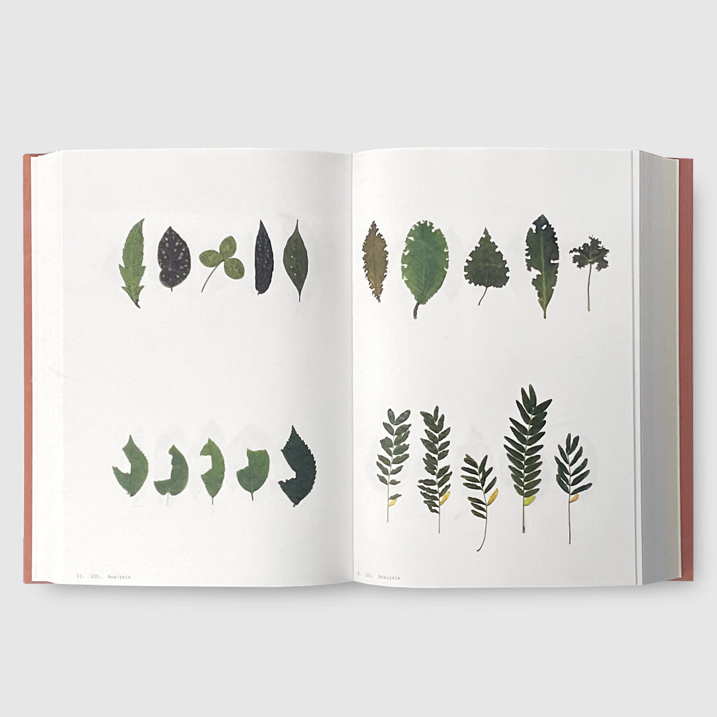 Anne Geene | Book Of Plants