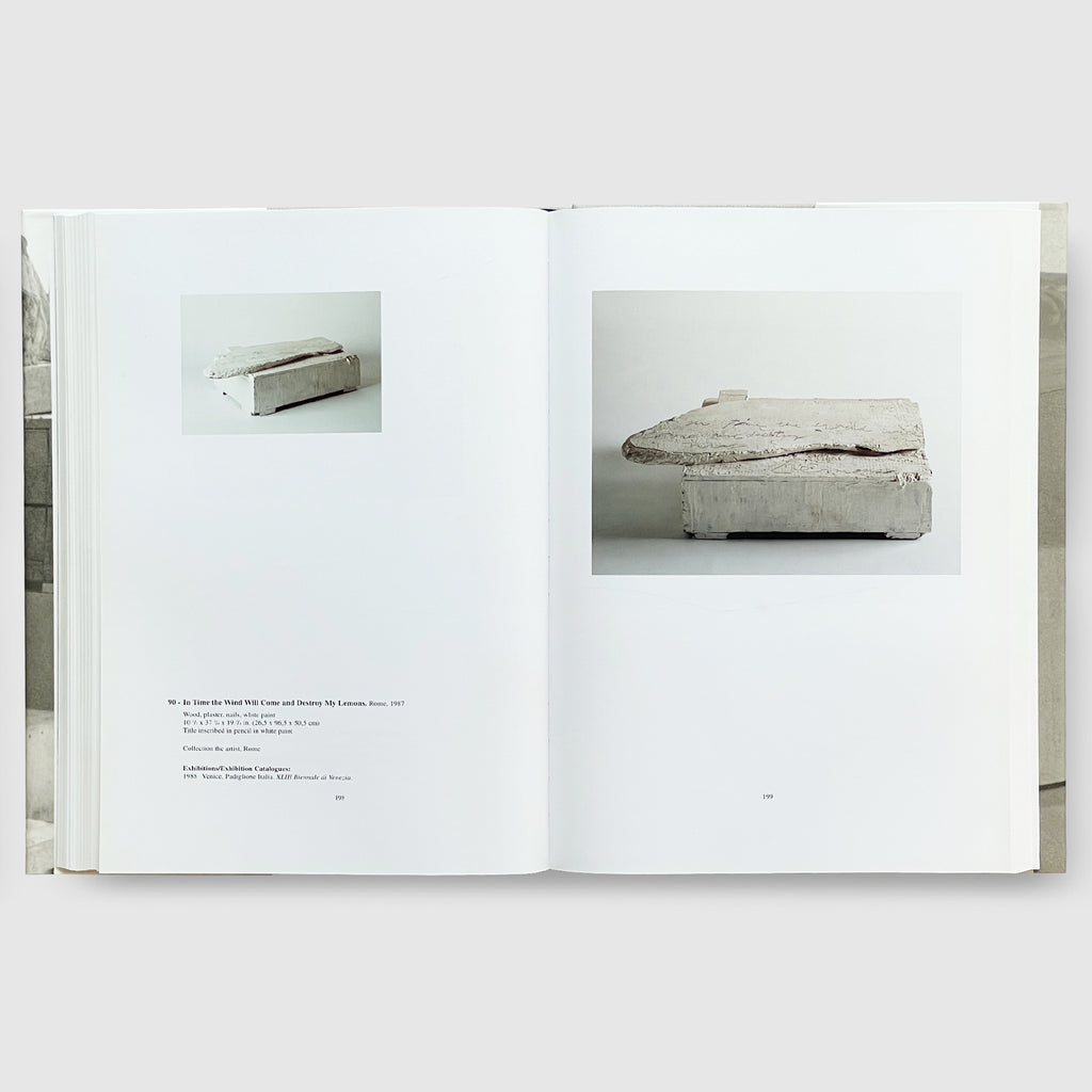 洋書 CATALOGUE RAISONNE OF SCULPTURE 洋書 CATALOGUE RAISONNE OF SCULPTURE Cy Twombly | Catalogue
