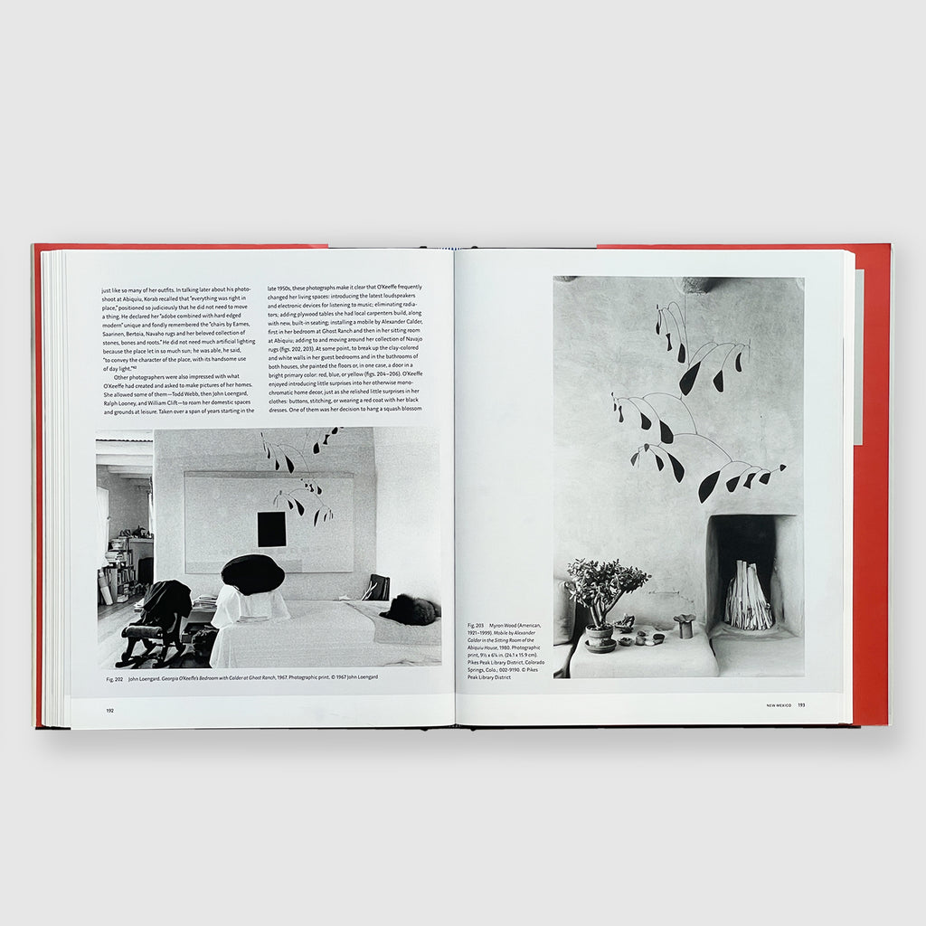 Georgia O'Keeffe | Living Modern