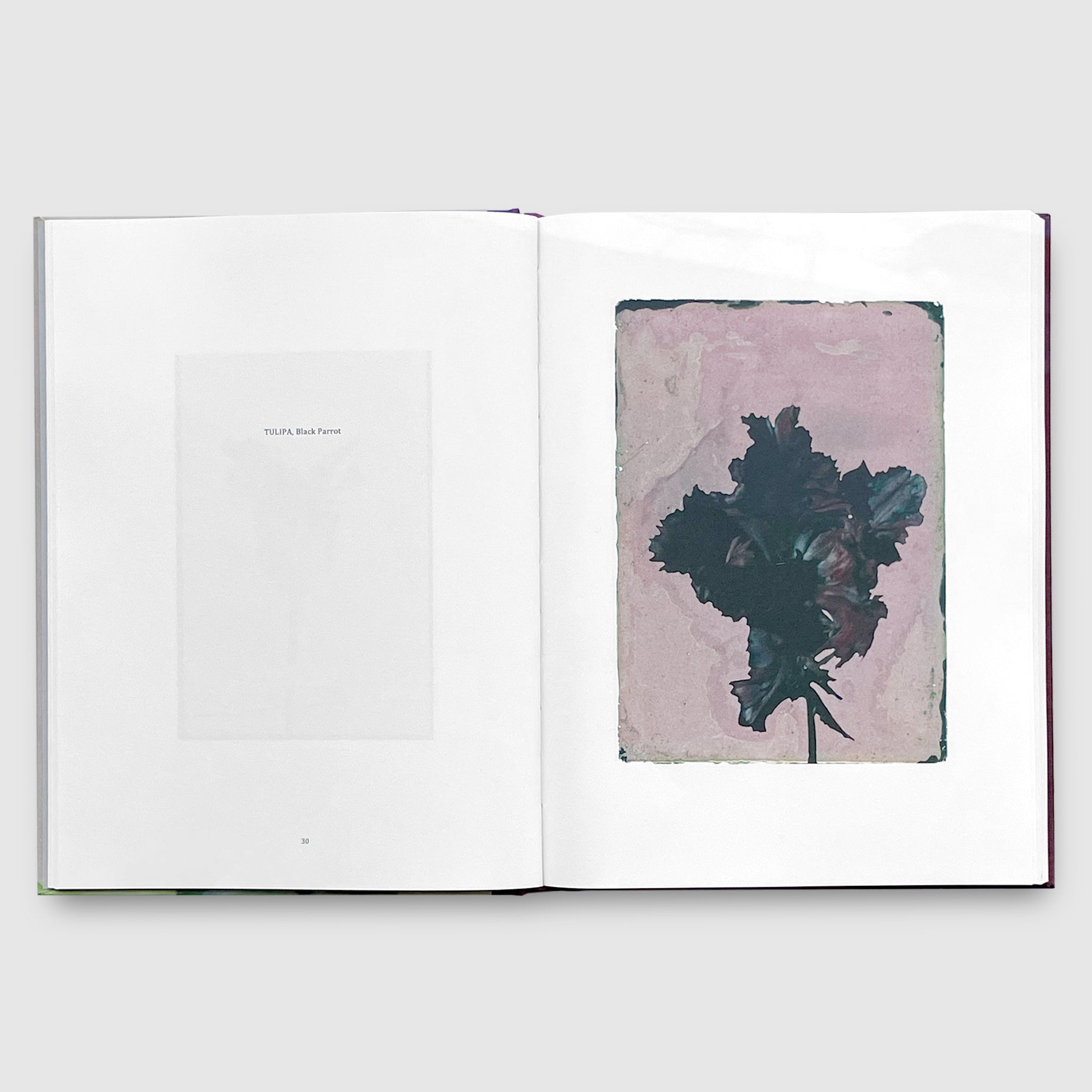 LEENDERT BLOK | LES EXTRAVAGANTES | Post Architecture Books