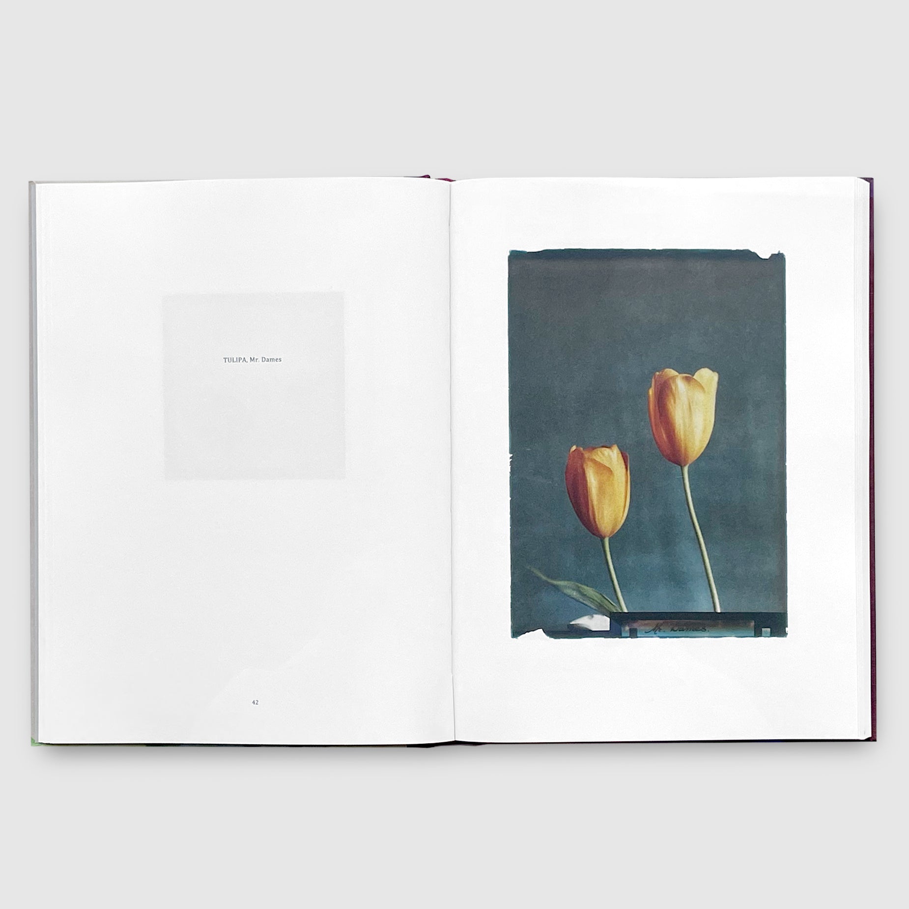 LES_EXTRAVAGANTES___04_1850x.