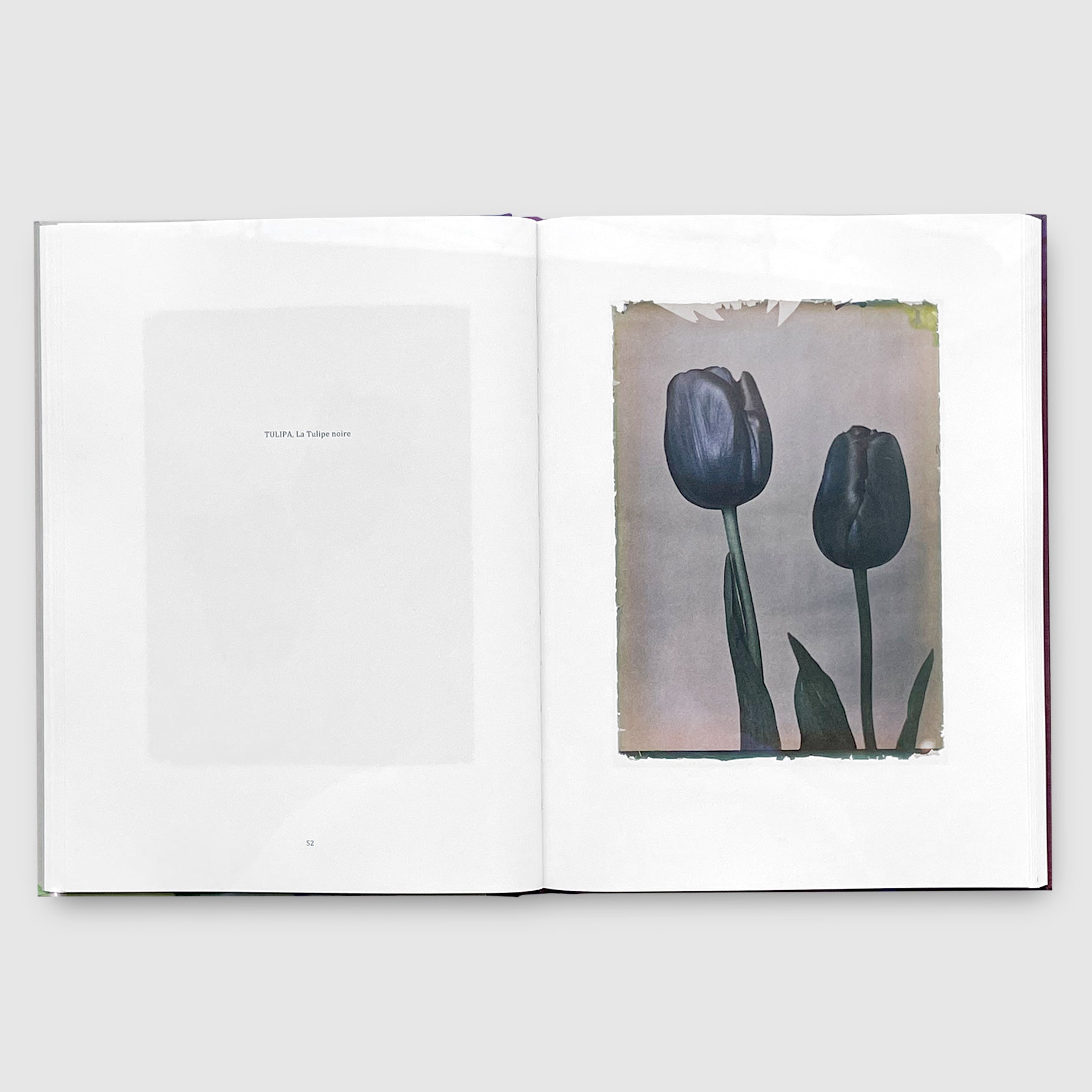 LES_EXTRAVAGANTES___05_1850x.