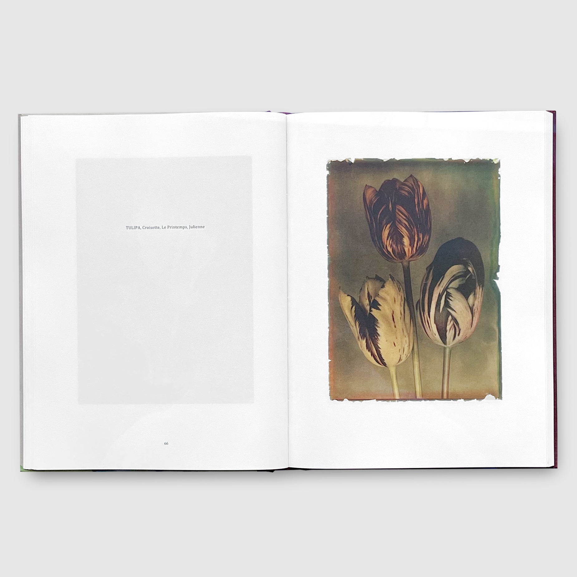LEENDERT BLOK | LES EXTRAVAGANTES | Post Architecture Books
