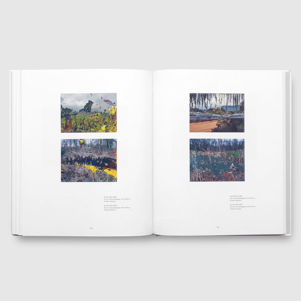 Gerhard Richter / Landscape