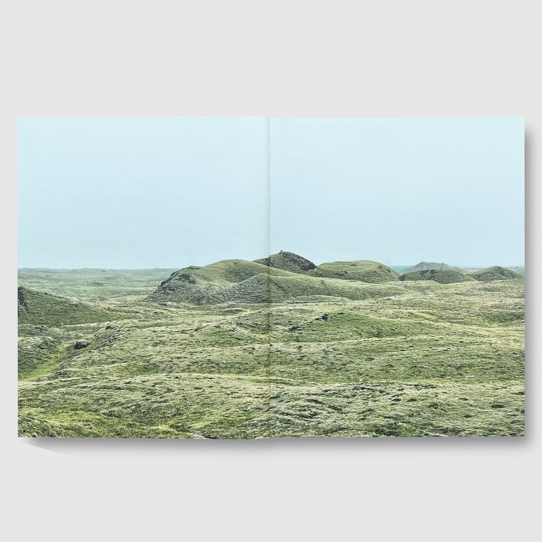 Roni Horn Ísland Mother Wonder ロニ ホーン Mother__Wonder___03_1850x.jpg?