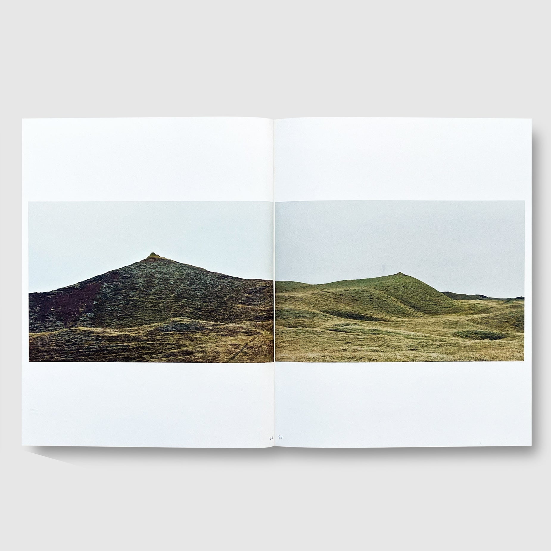 Roni Horn / Mother, Wonder | Post Architecture Books