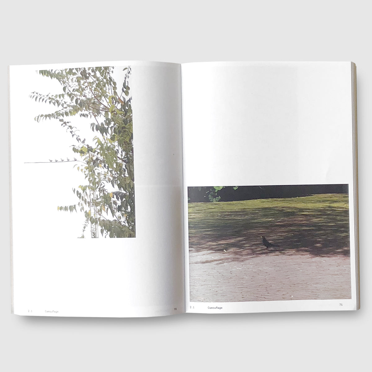 Anne Geene & Arjan De Nooy ｜ Ornithology | Post Architecture Books