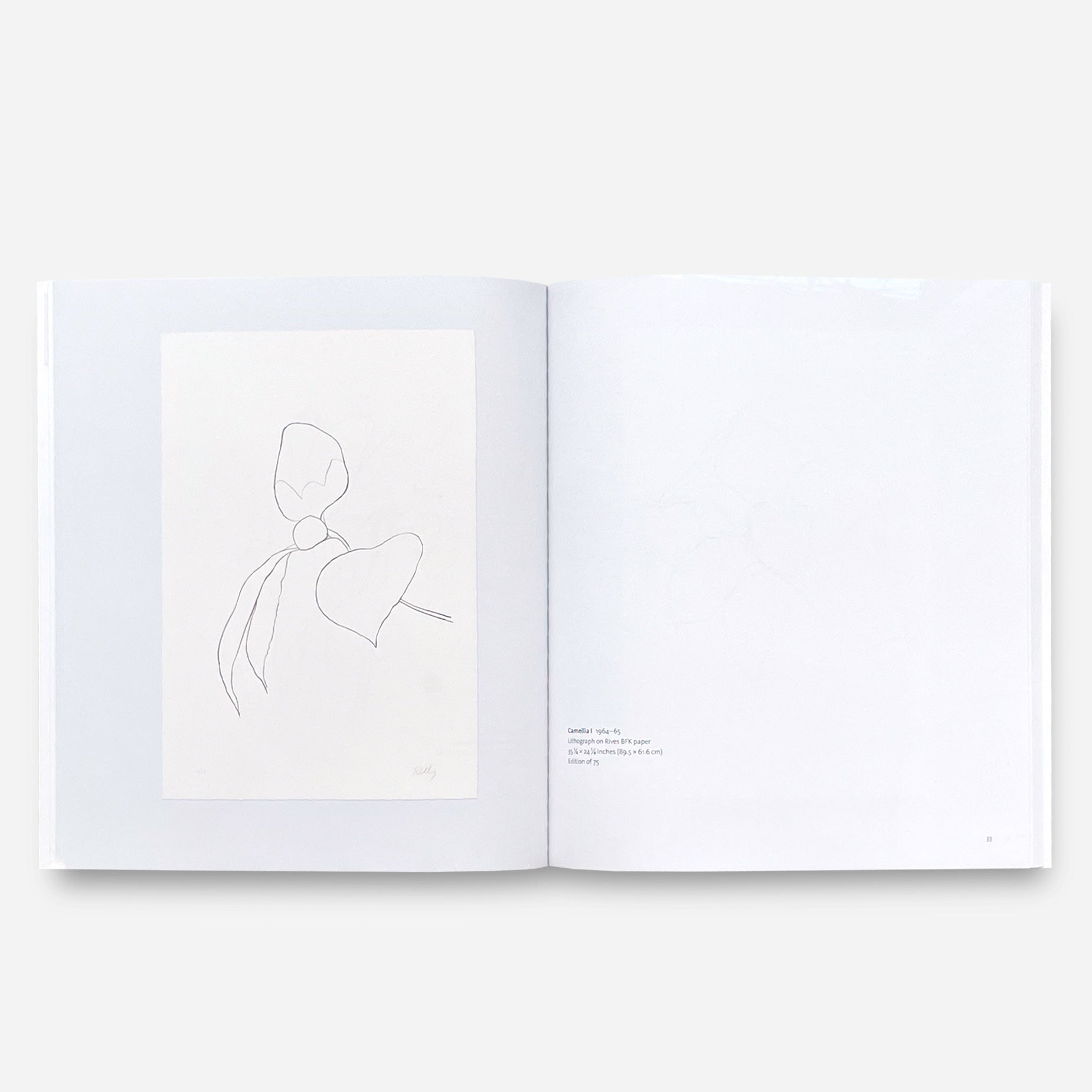 Ellsworth Kelly ｜ Plant Lithographs | Post Architecture Books