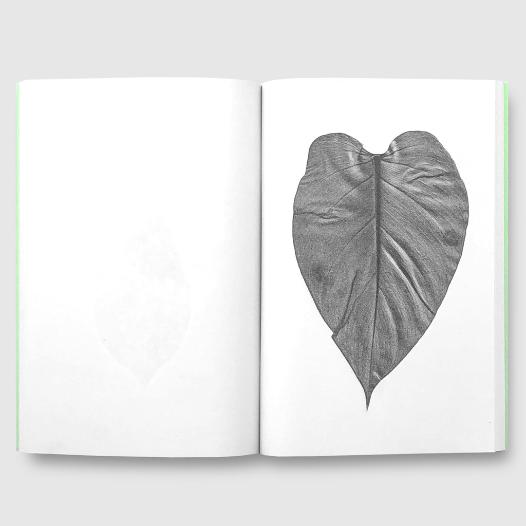 Jamie Yeo | Plant Scans