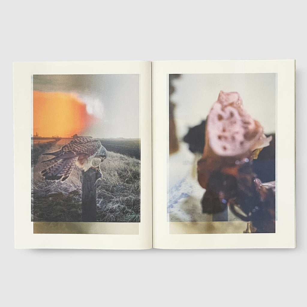 マグニフィシェント　フェイリュア magnificent failure Stephen Gill | Magnificent Failure | Post Architecture Books