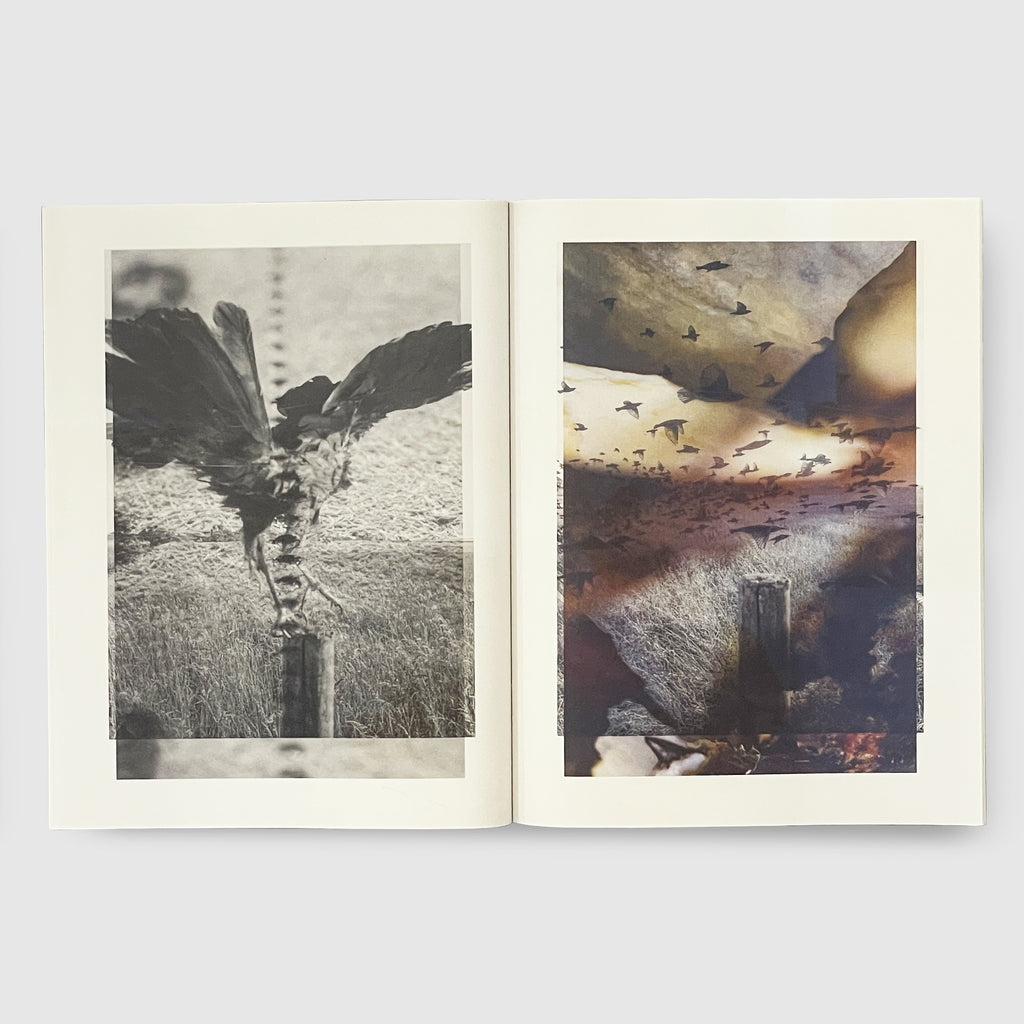 Stephen Gill | Magnificent Failure | Post Architecture Books