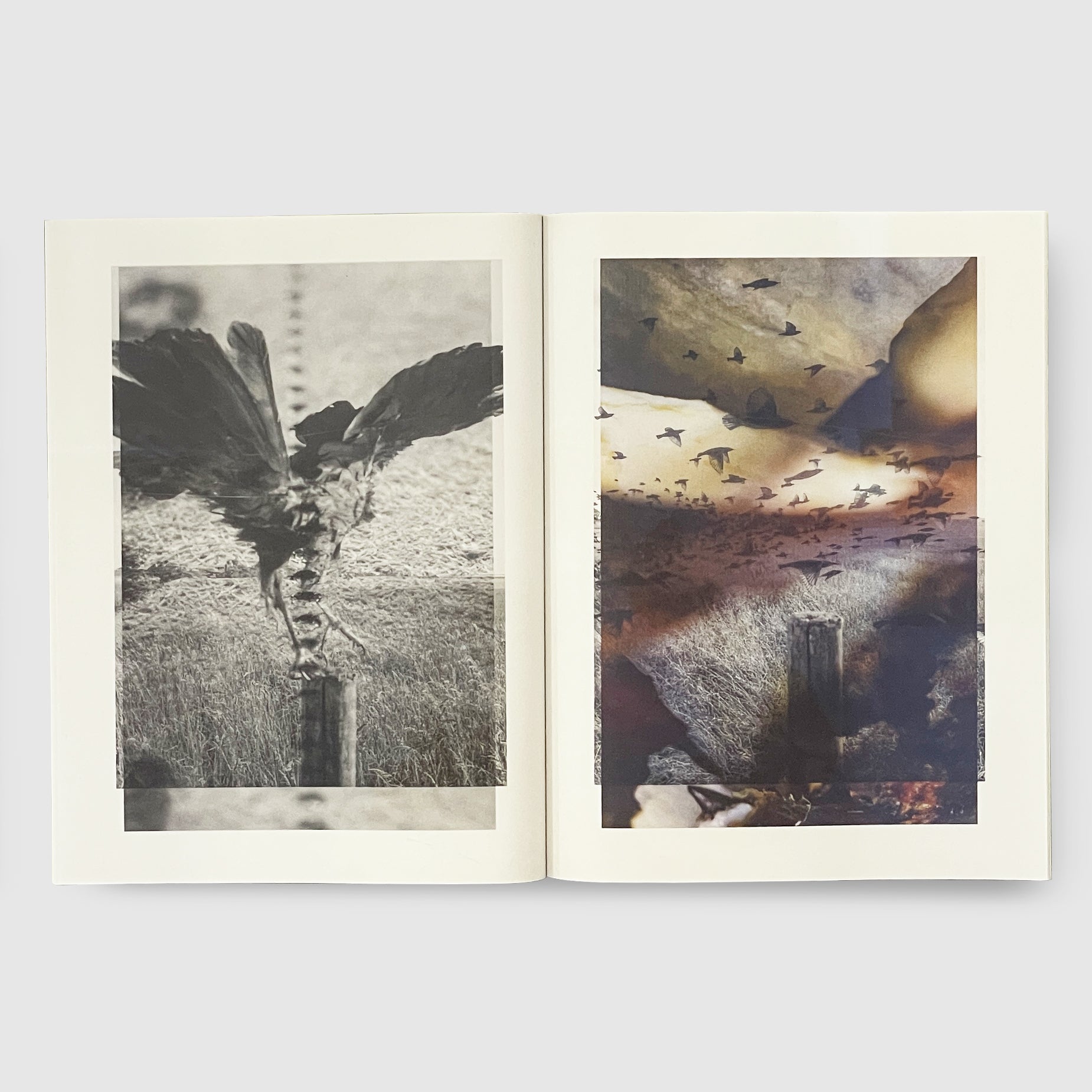 マグニフィセント　フェイリュアmagnificent failure Stephen Gill | Magnificent Failure | Post Architecture Books