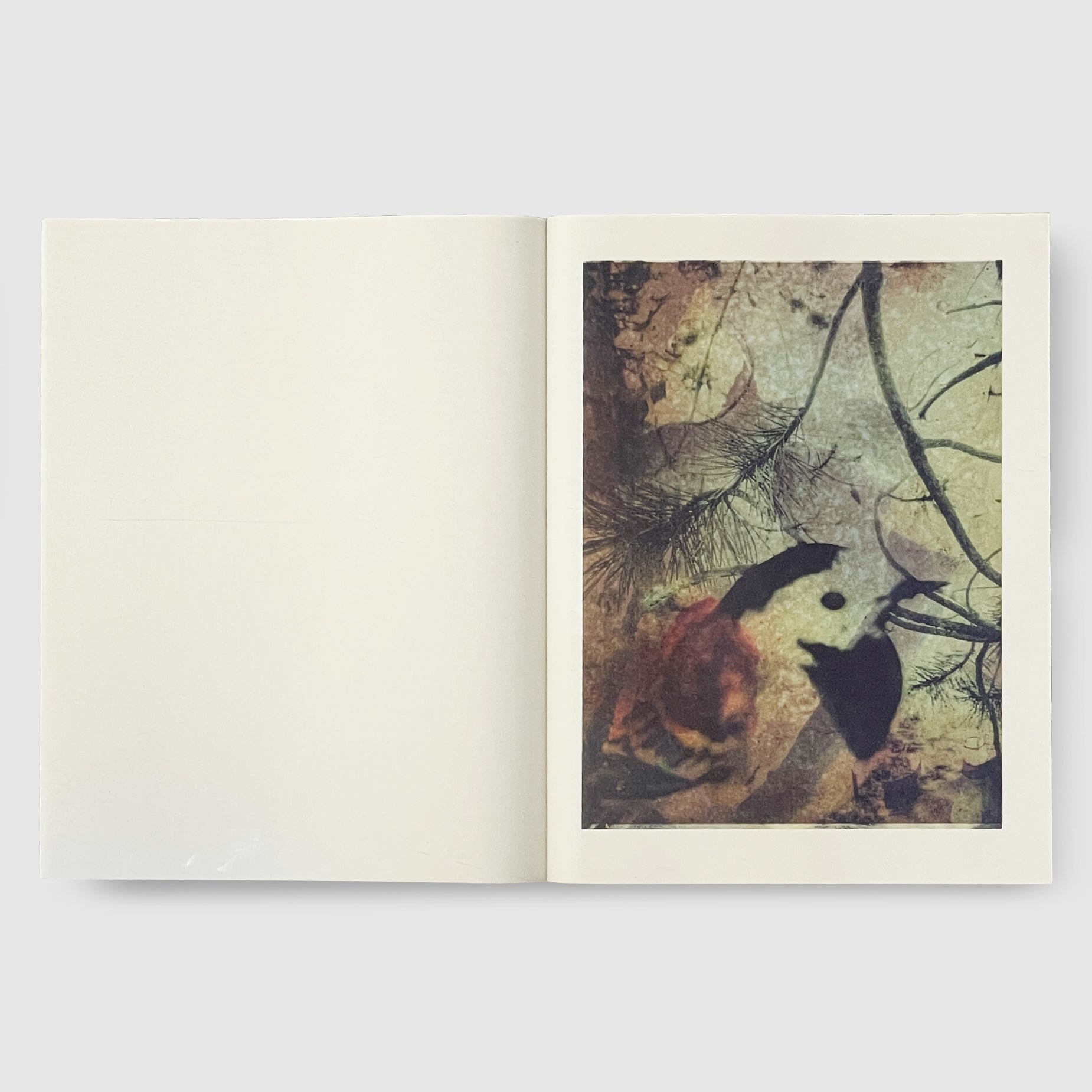 マグニフィセント　フェイリュアmagnificent failure Stephen Gill | Magnificent Failure | Post Architecture Books