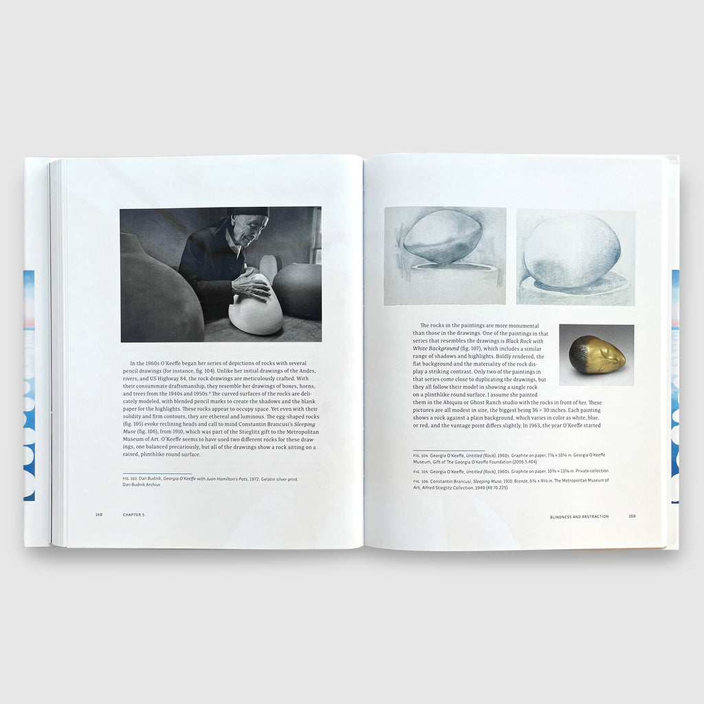 Georgia O'Keeffe ｜ The Late Work