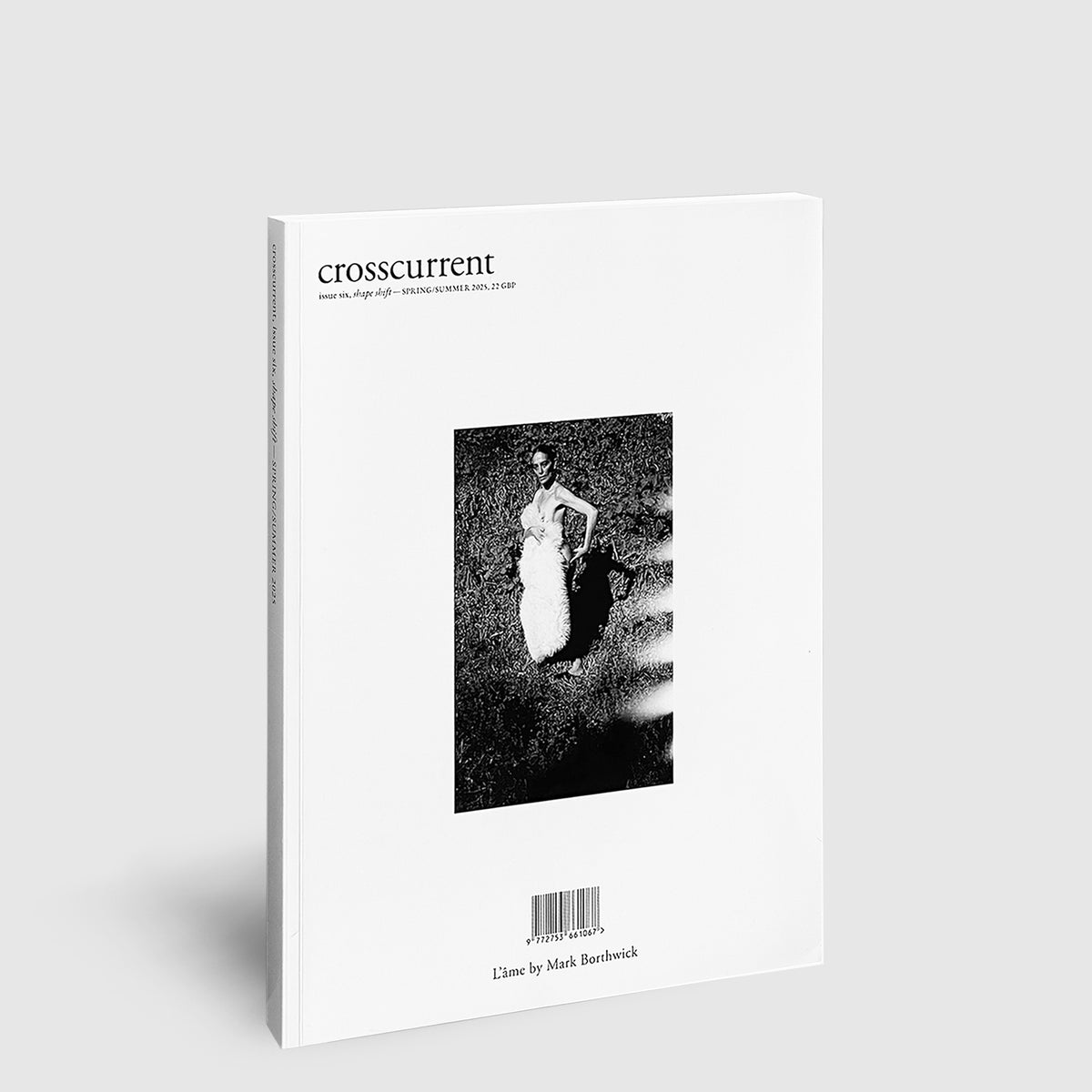 crosscurrent magazine issue 6 [cover one] | Post Architecture Books