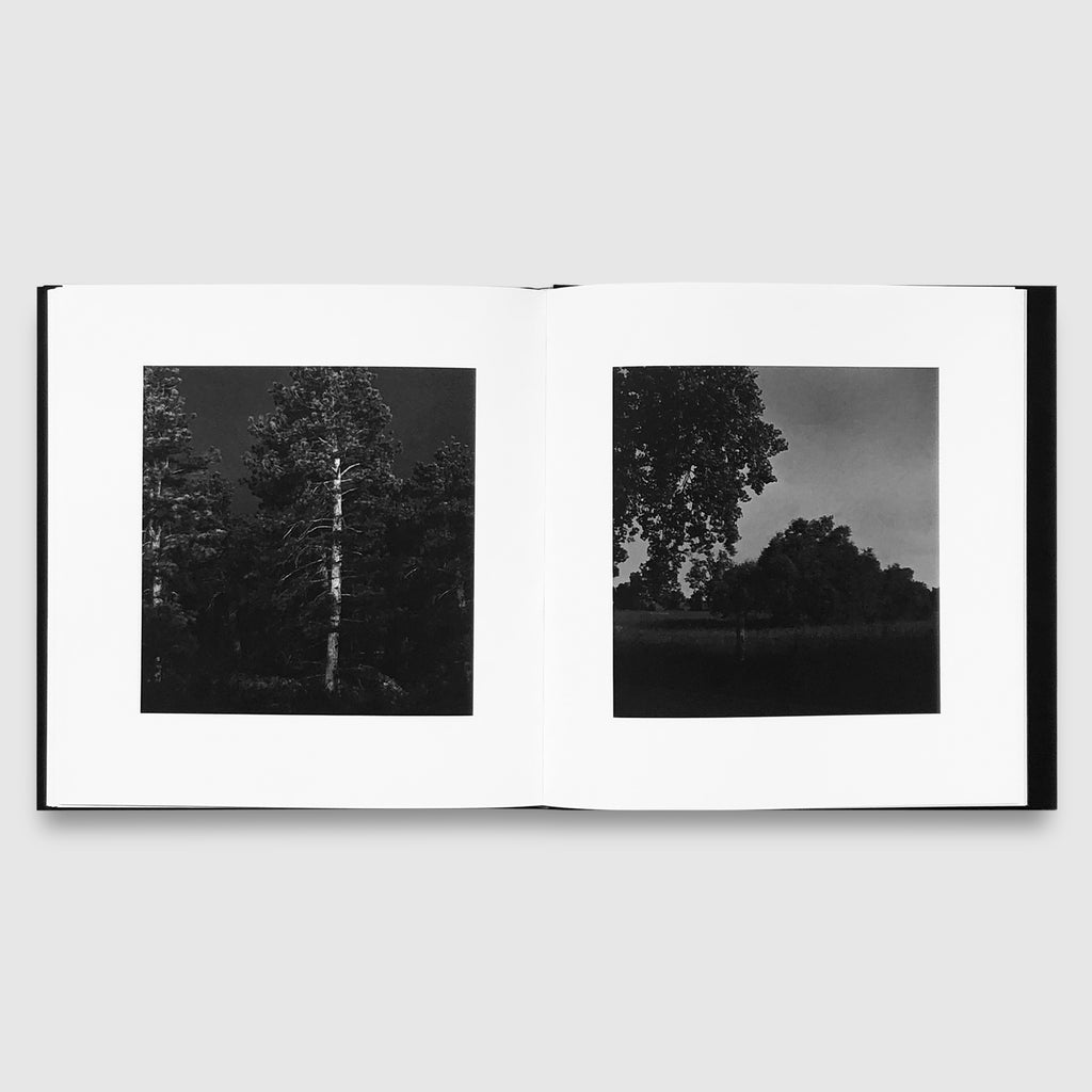 Robert Adams | Summer Nights, Walking