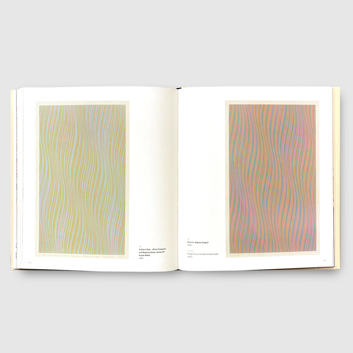 BRIDGET RILEY DRAWINGS | Post Architecture Books