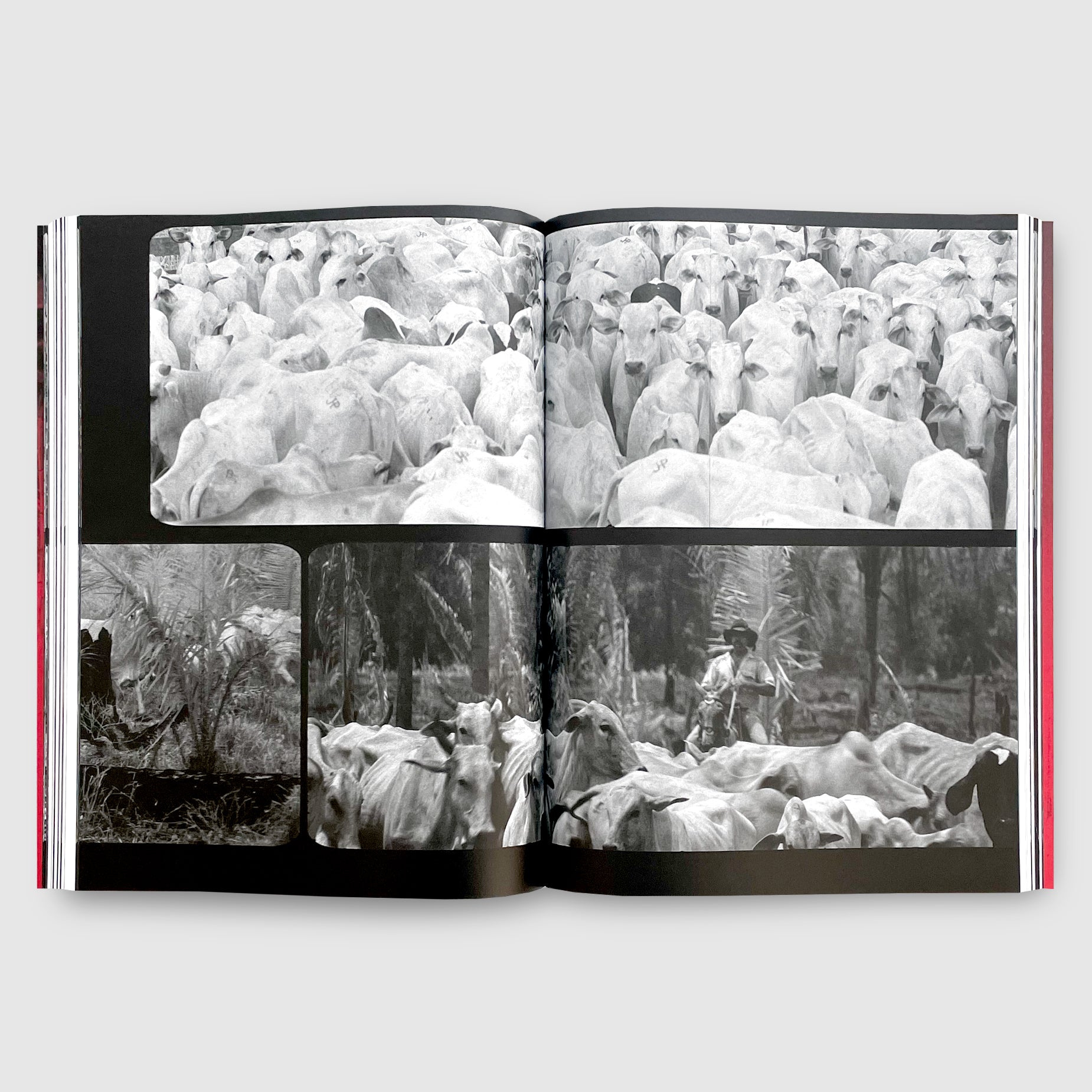 Richard Mosse | BROKEN SPECTRE | Post Architecture Books