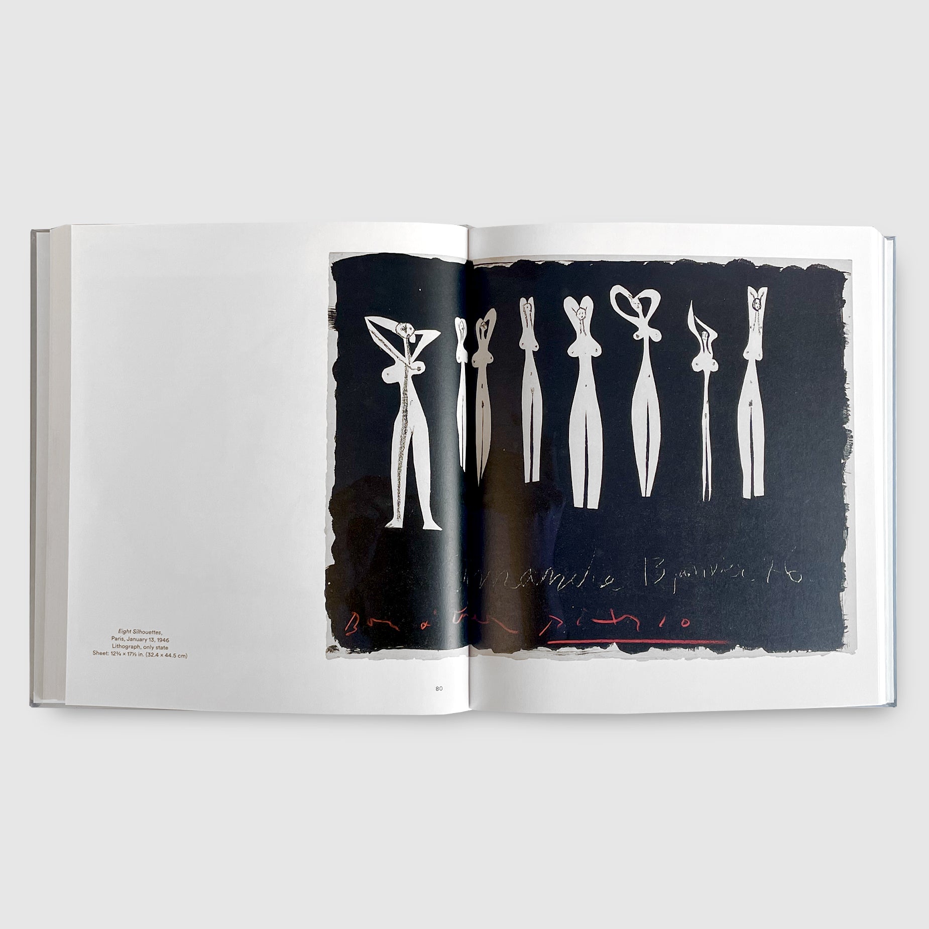 Pablo Picasso | Cut Papers | Post Architecture Books