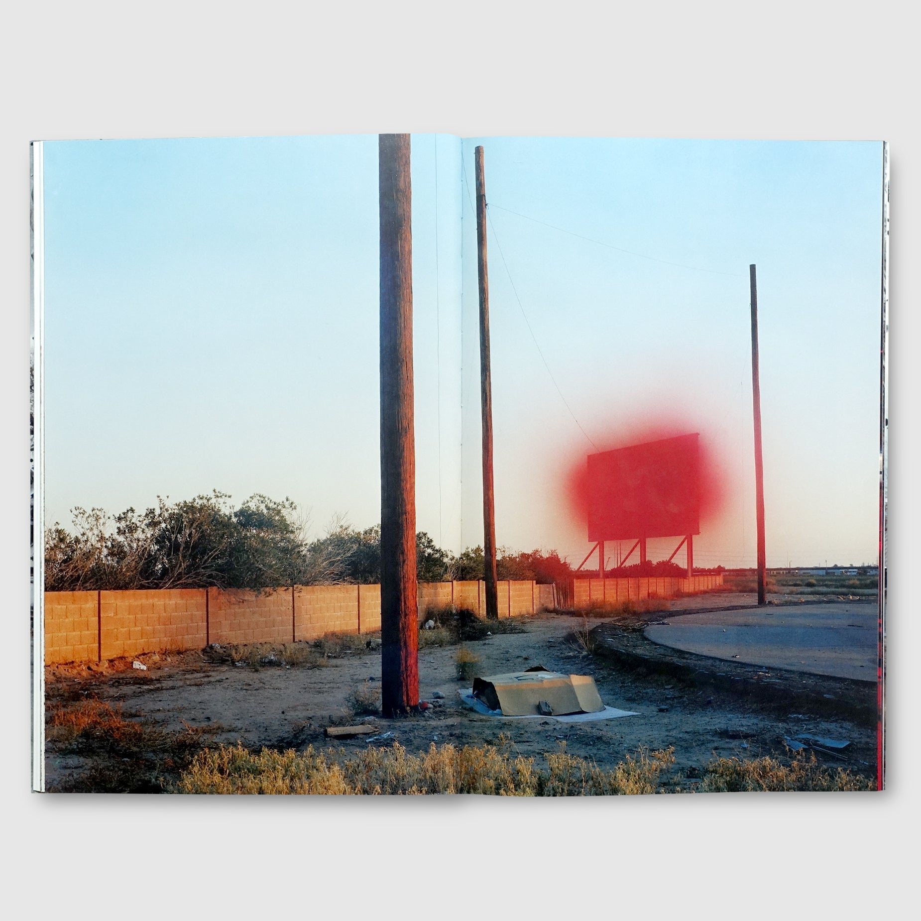 初版TaiyoOnorato NicoKrebs:TheGreat Unreal Taiyo Onorato / Nico Krebs | The Great Unreal | Post Architecture